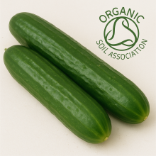 cucumber